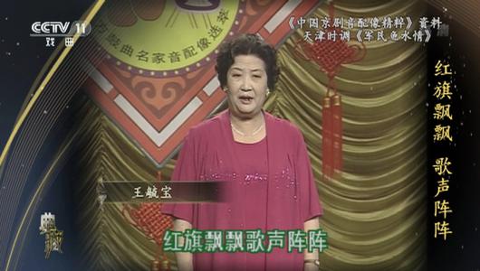 天津时调《军民鱼水情》选段 王毓宝主演